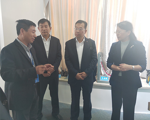 山东省枣庄市委常委 峄城区委书记于玉一行参观开云·电子(中国)官方网站公司展示厅(2019)